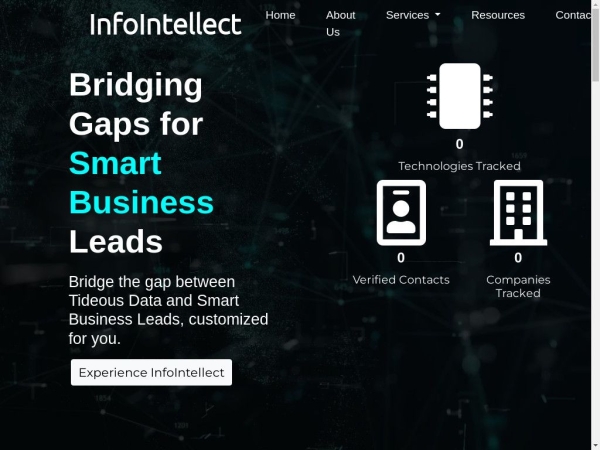 infointellect.com