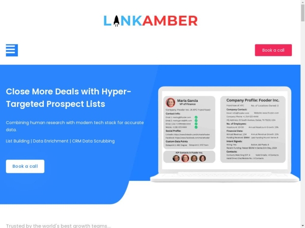 linkamber.com